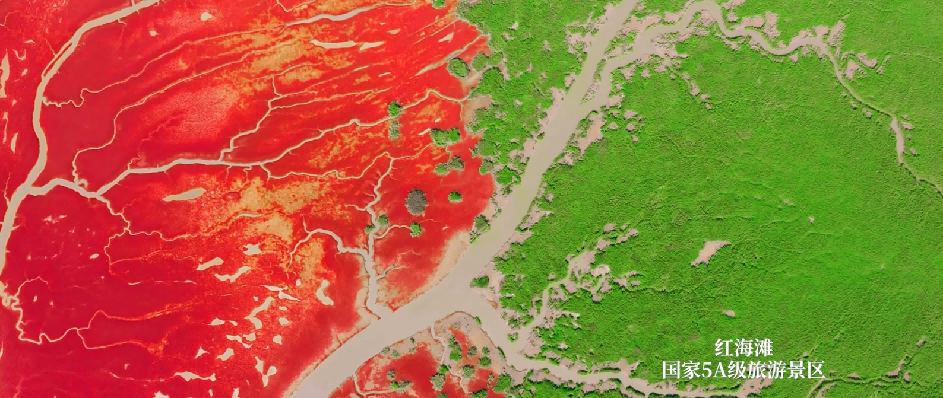 1694772990272018015.png 111图片4.png